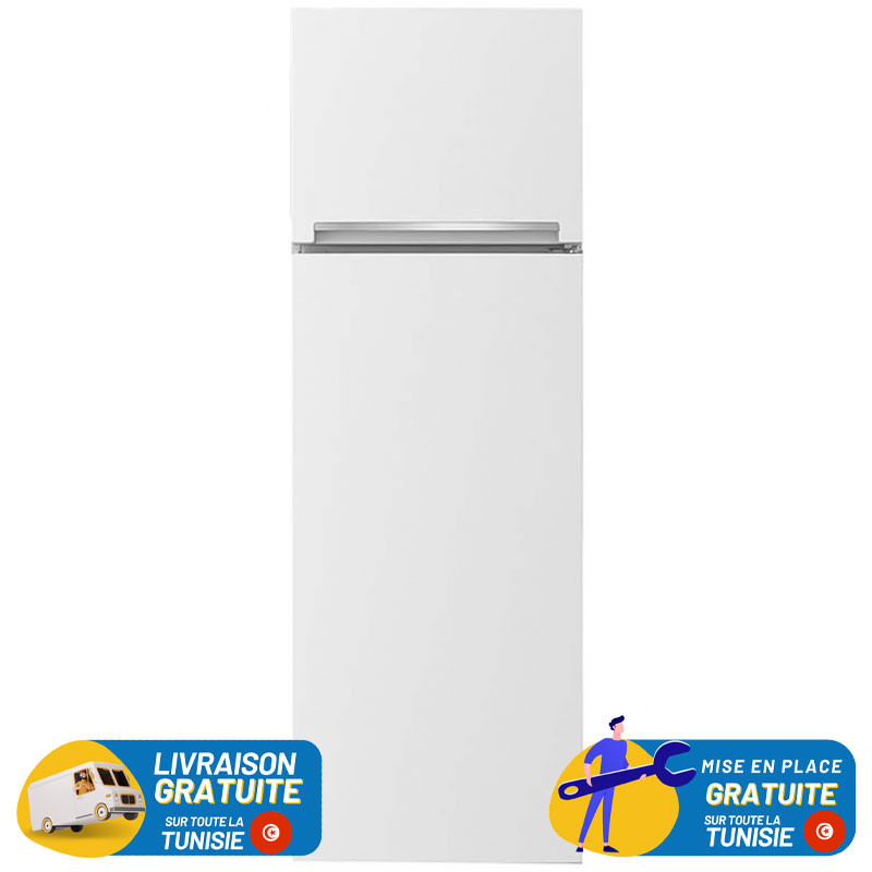 NEWSTAR De Frost Double Portes 168 Litres